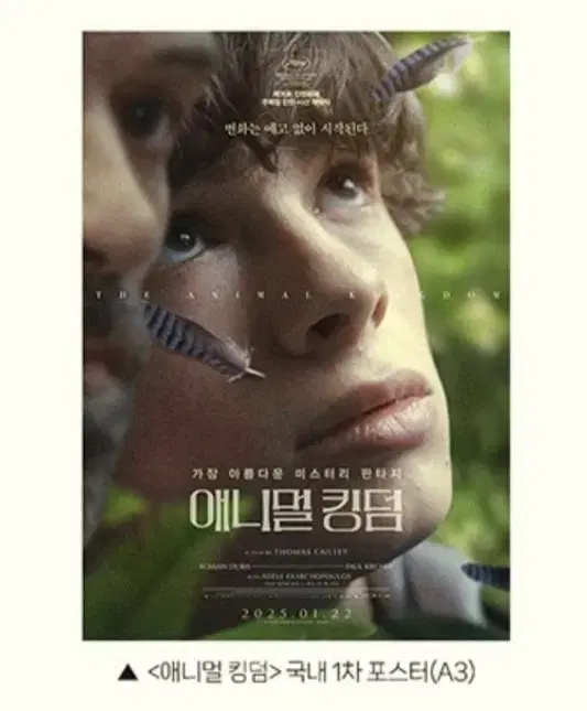 애니멀킹덤  국내 1차 포스터 cgv 특전 굿즈