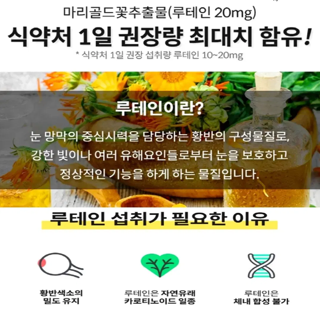 [6개월]슈퍼프리미엄 엔초비 오메가3 루테인 비타민D 플러스 180캡슐