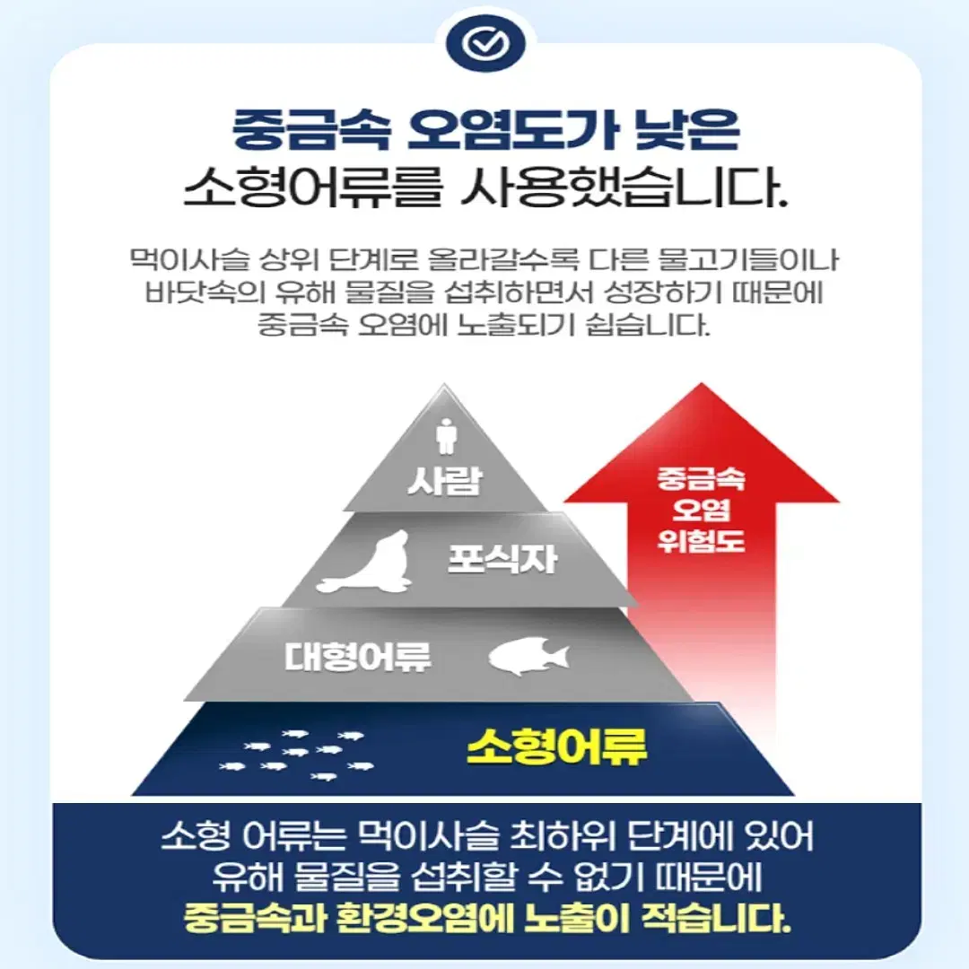 내추럴플러스 초임계 알티지 오메가3 맥스퓨어 60캡슐