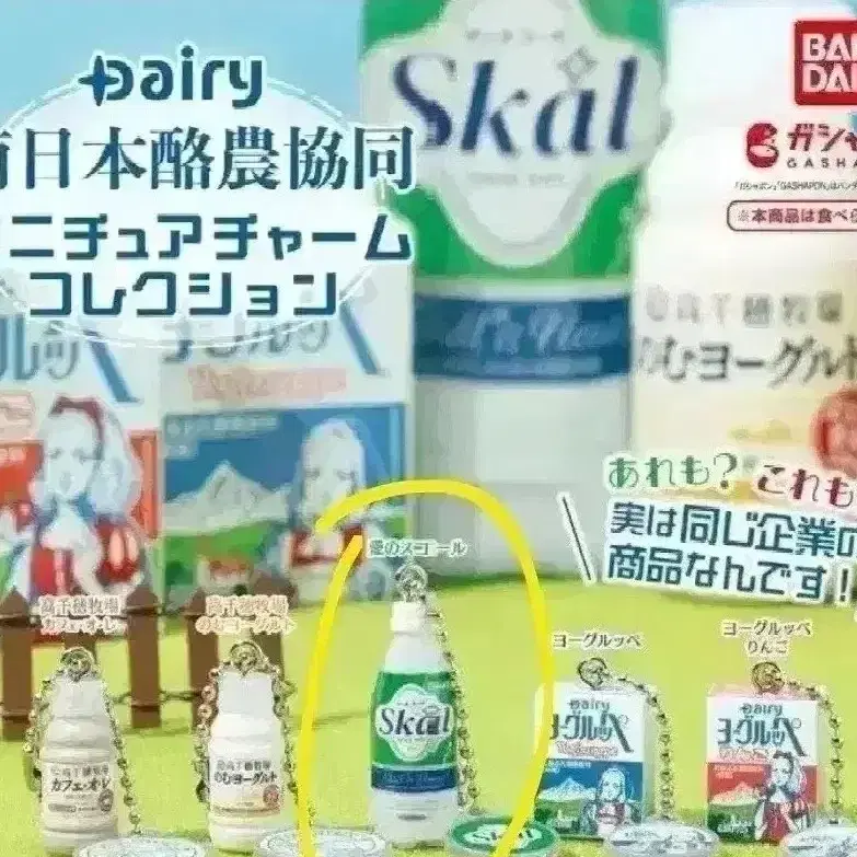 일본 가챠) Dairy 요구르트 skal 가챠