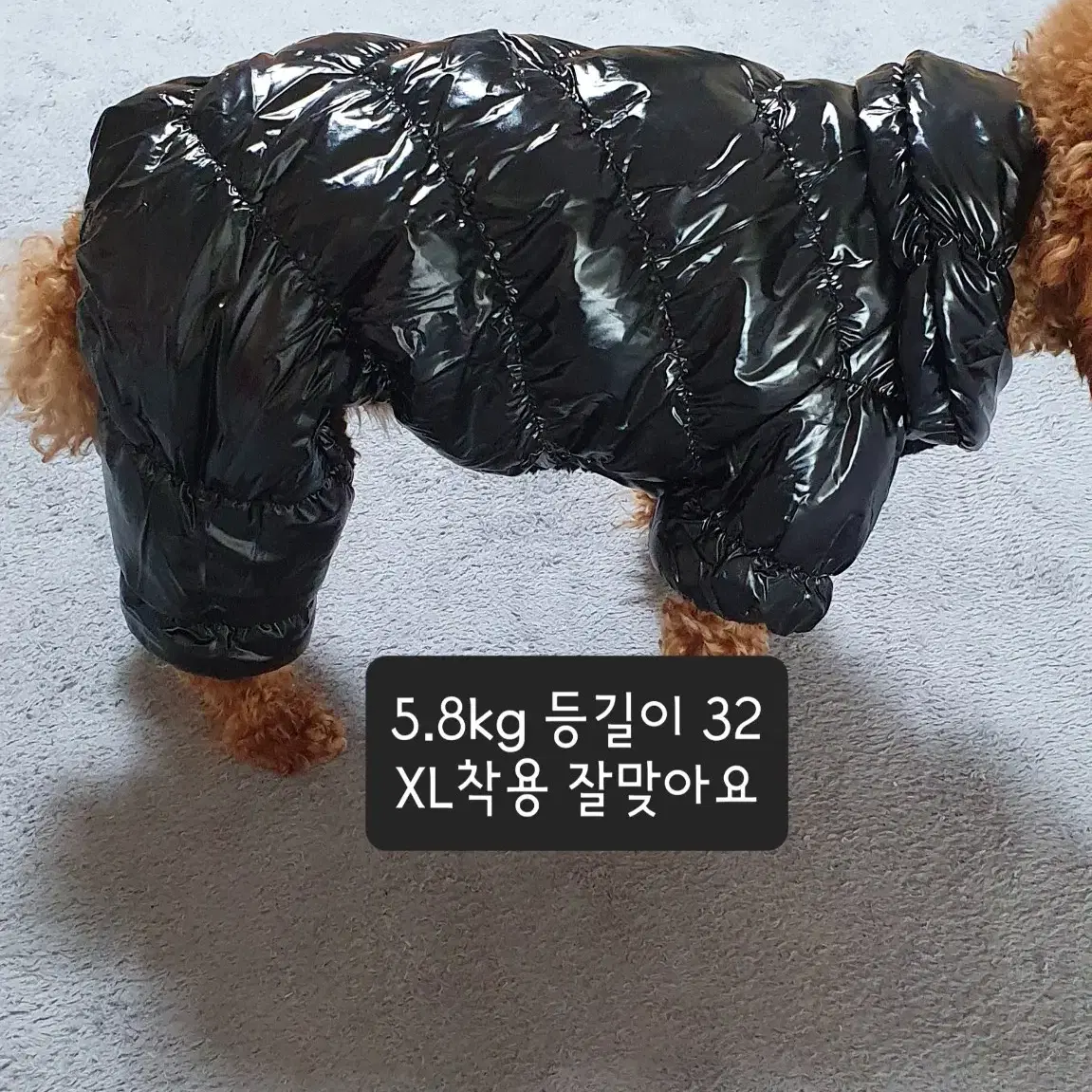 *새상품 L (5- 7kg)강아지옷 패딩