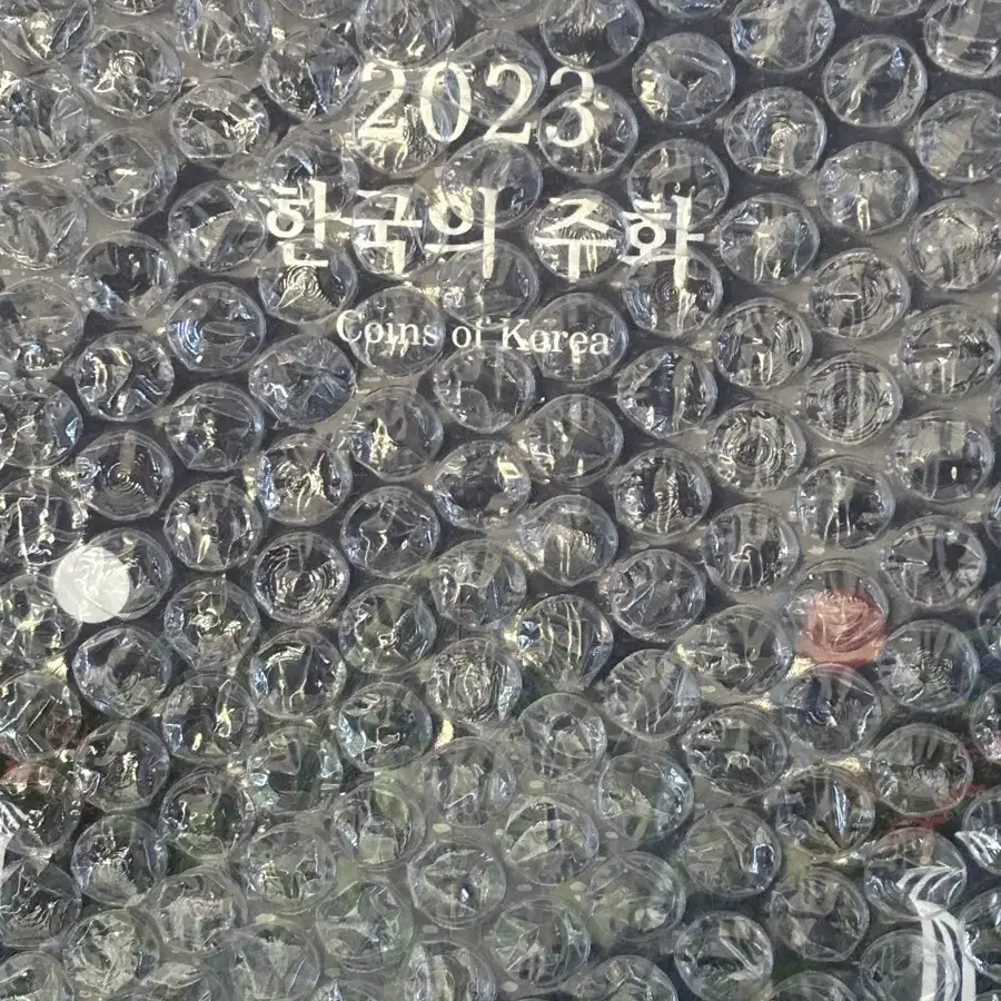 2023 한국주화 민트세트