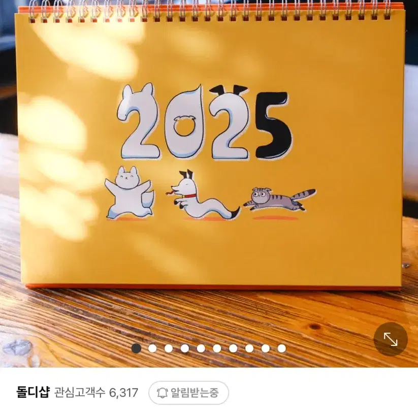 진돌 히디 돌디샵 2025 달력 탁상달력