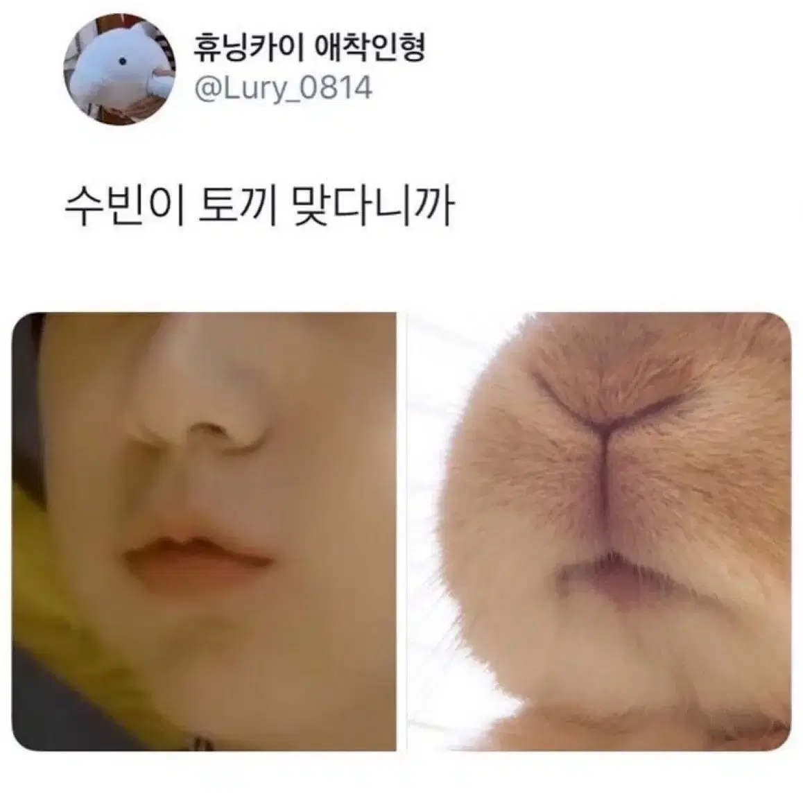 투바투 카세트테이프