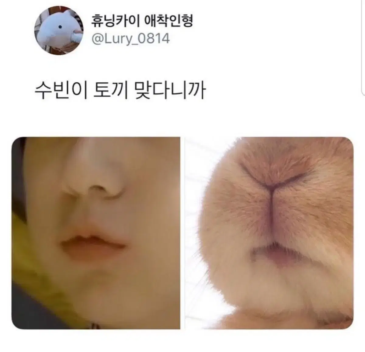 투바투 카세트테이프