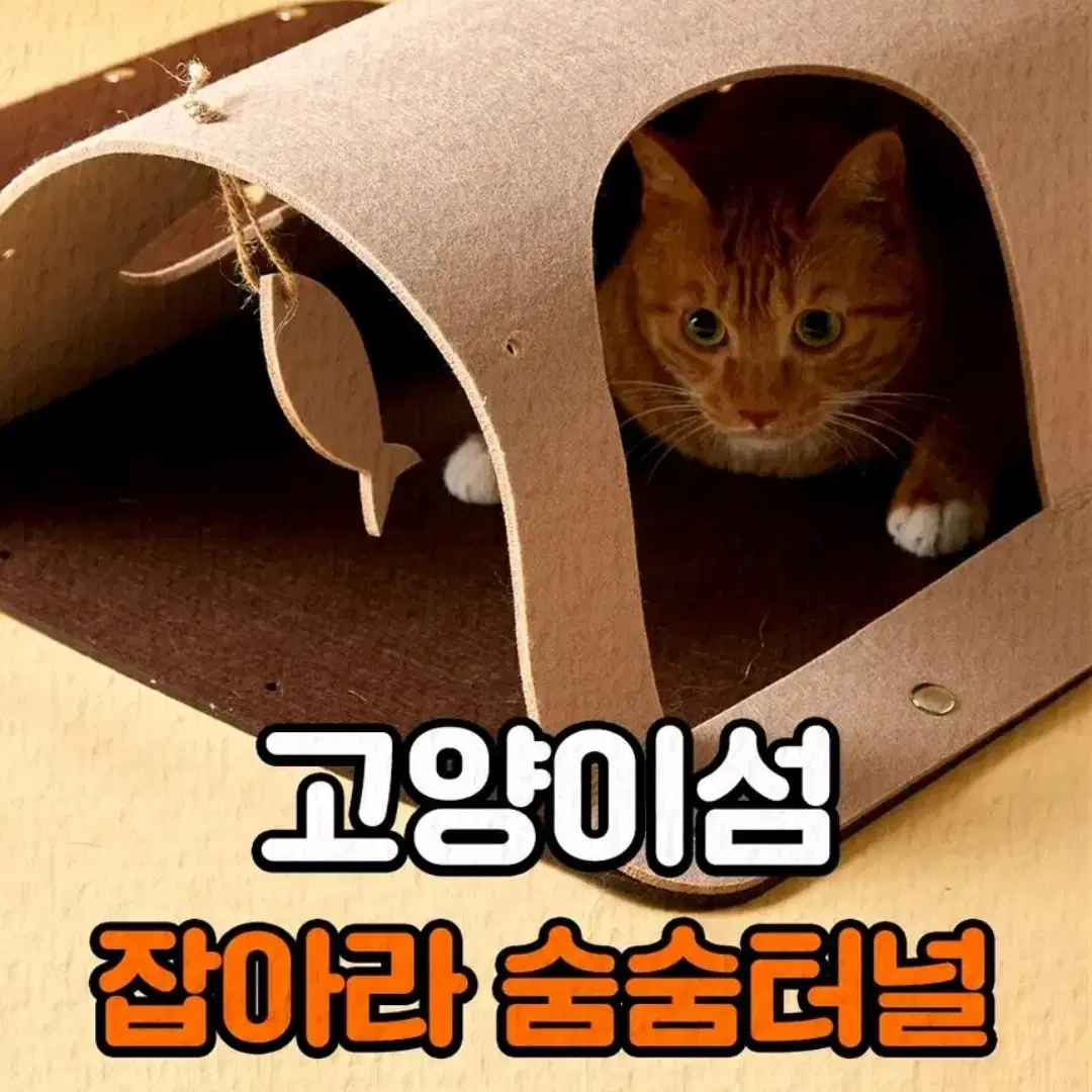 2개 고양이섬 잡아라 숨숨터널