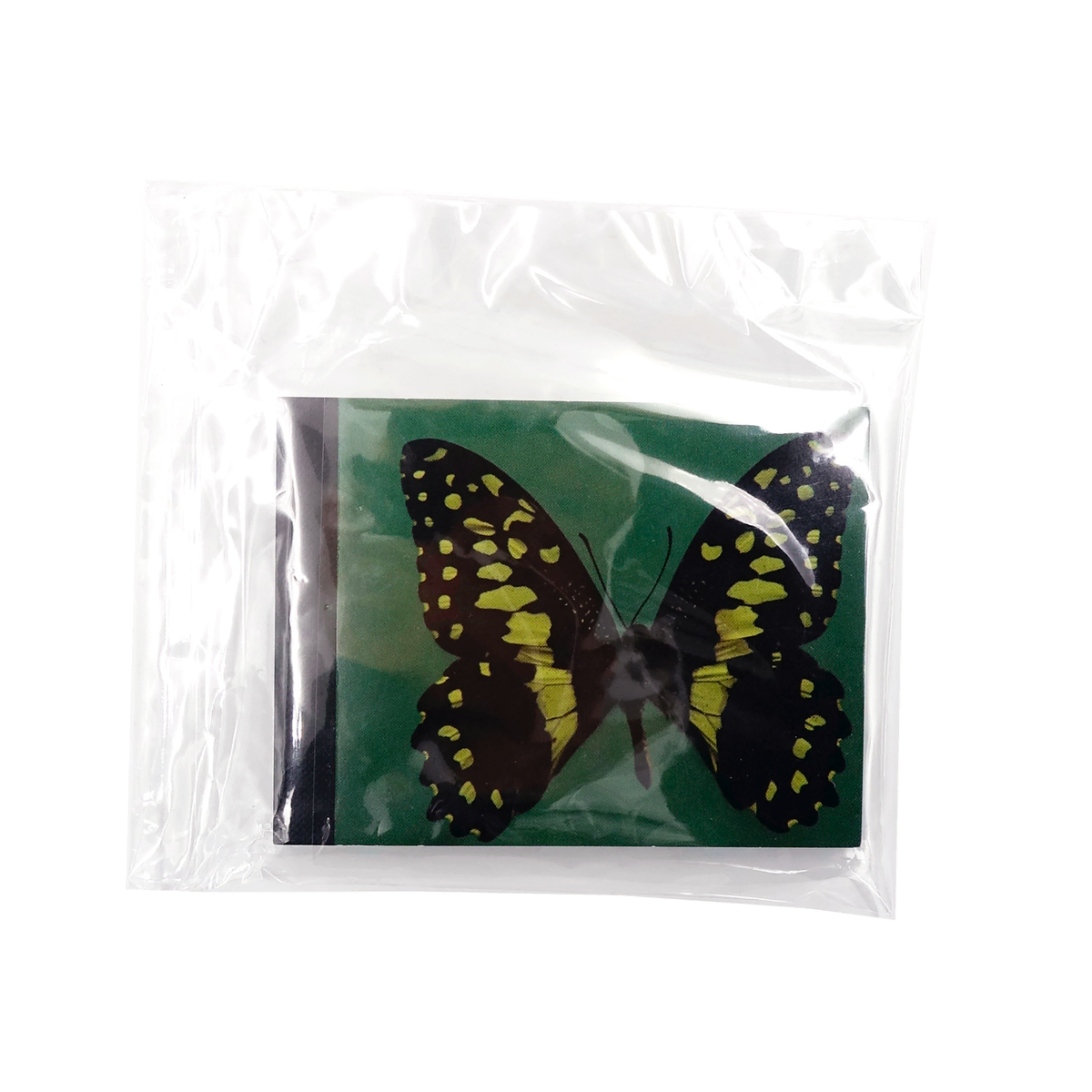 DAMIEN HIRST BUTTERFLY FLIPBOOK 데미안허스트