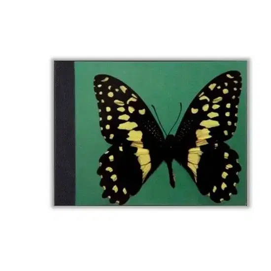 DAMIEN HIRST BUTTERFLY FLIPBOOK 데미안허스트