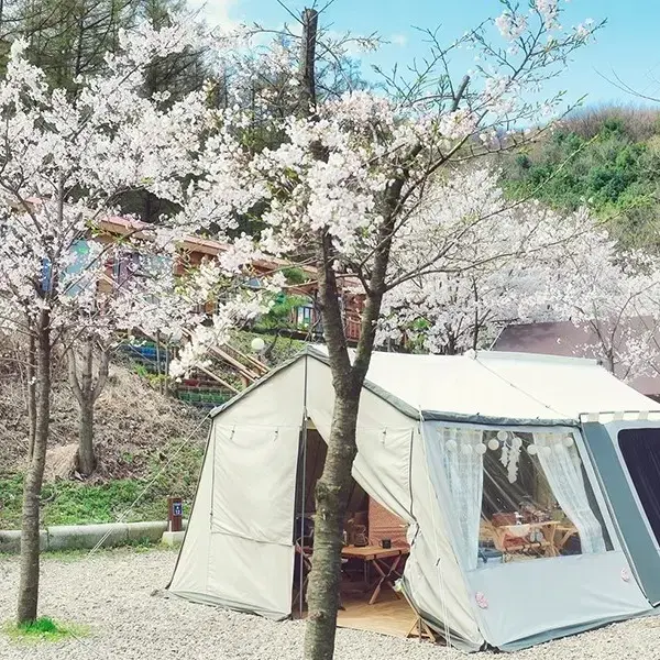 듀랑고 캐빈와이드 미개봉 새 제품 팝니다