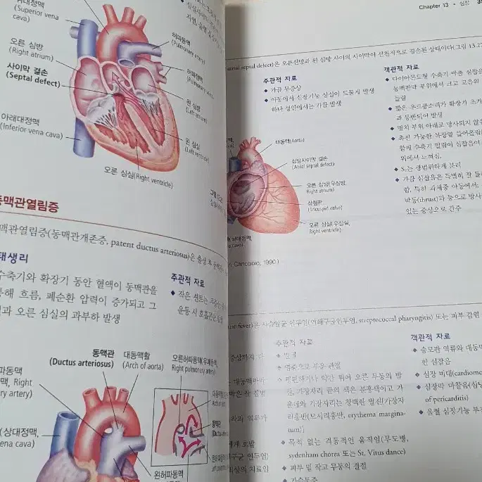 건강사정 7판 간호학