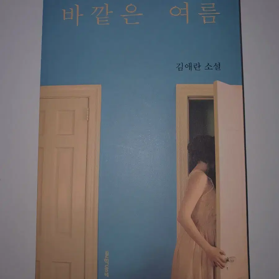 소설책 (리틀라이프 등)