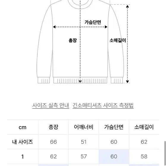 베드블루 후드 티셔츠(기모)