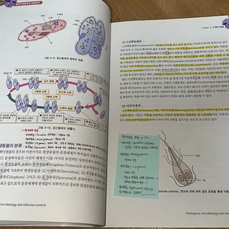 은학사 병원미생물학과 감염관리