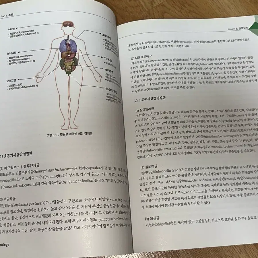 은학사 병리학