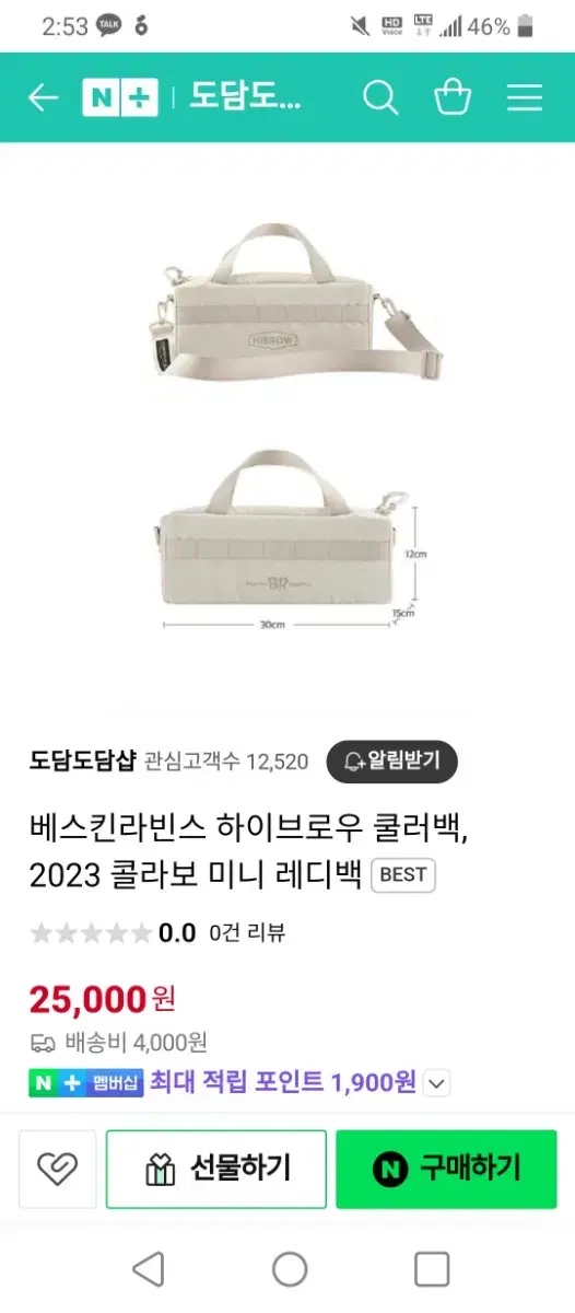 베라 쿨러백