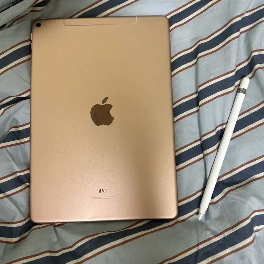 iPad Air 3 (256GB, 셀룰러, 로즈 골드) + 애플펜슬 1