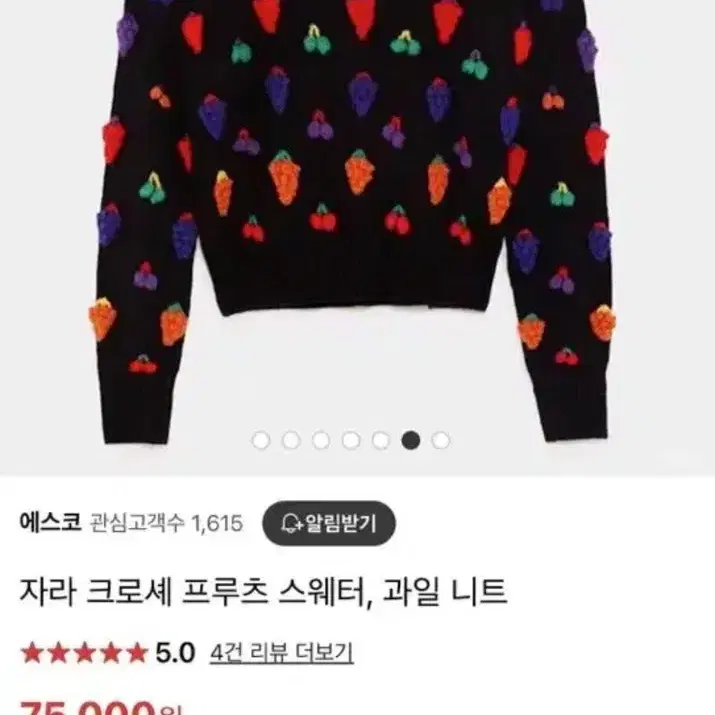 ZARA 과일 코르셰 과일 니트