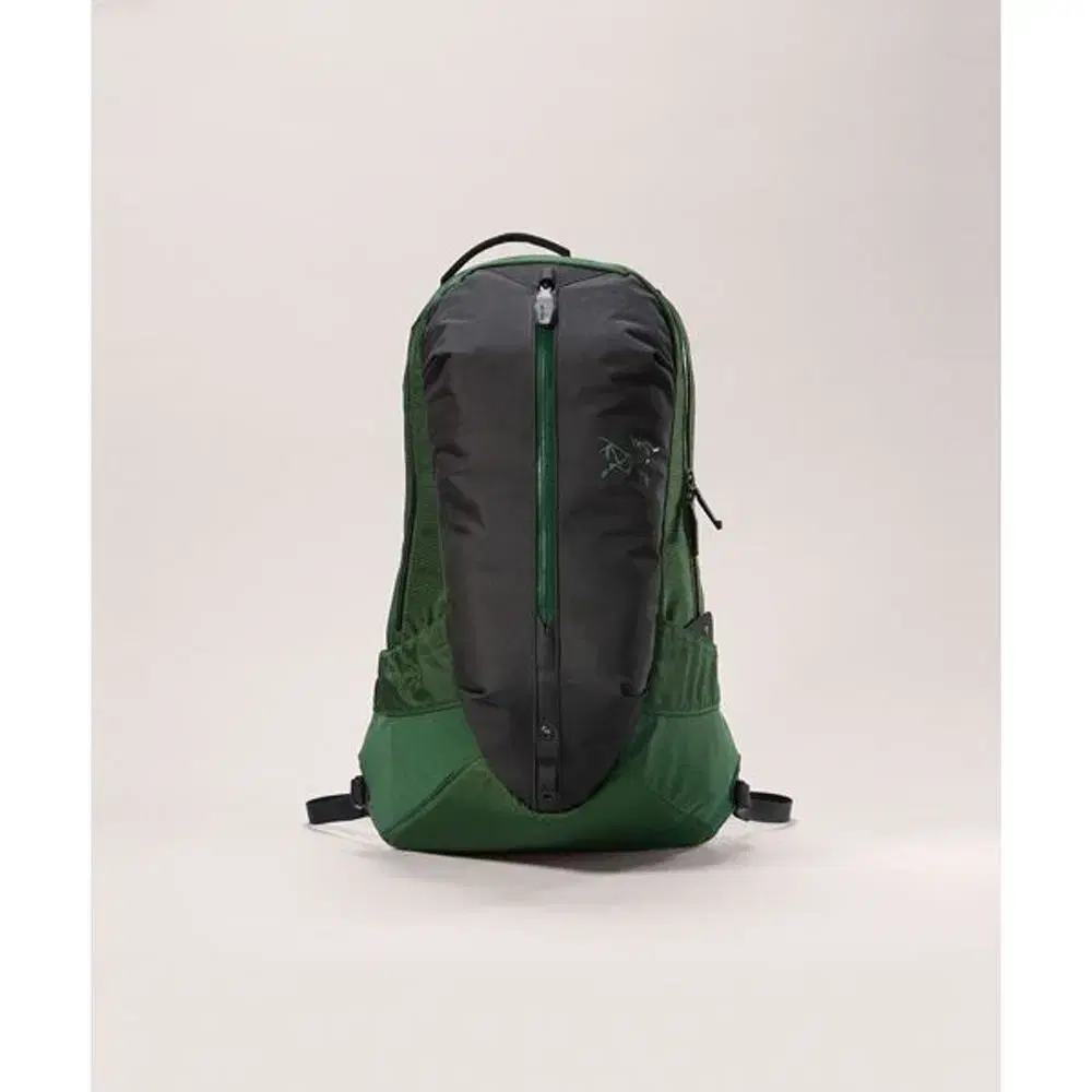 Arcteryx Aro 22 Eden New Products Sell