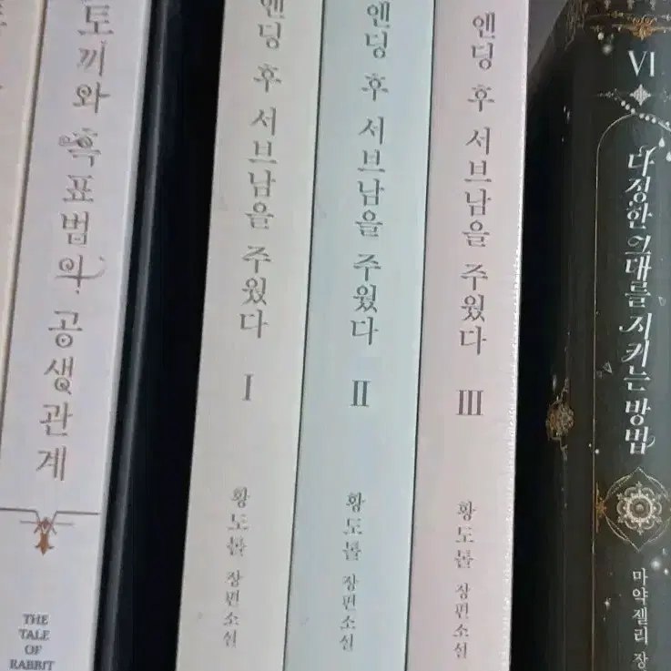 엔딩후 서브남을 주웠다 1~3권 소설책 단행본 초판 엽서 포함