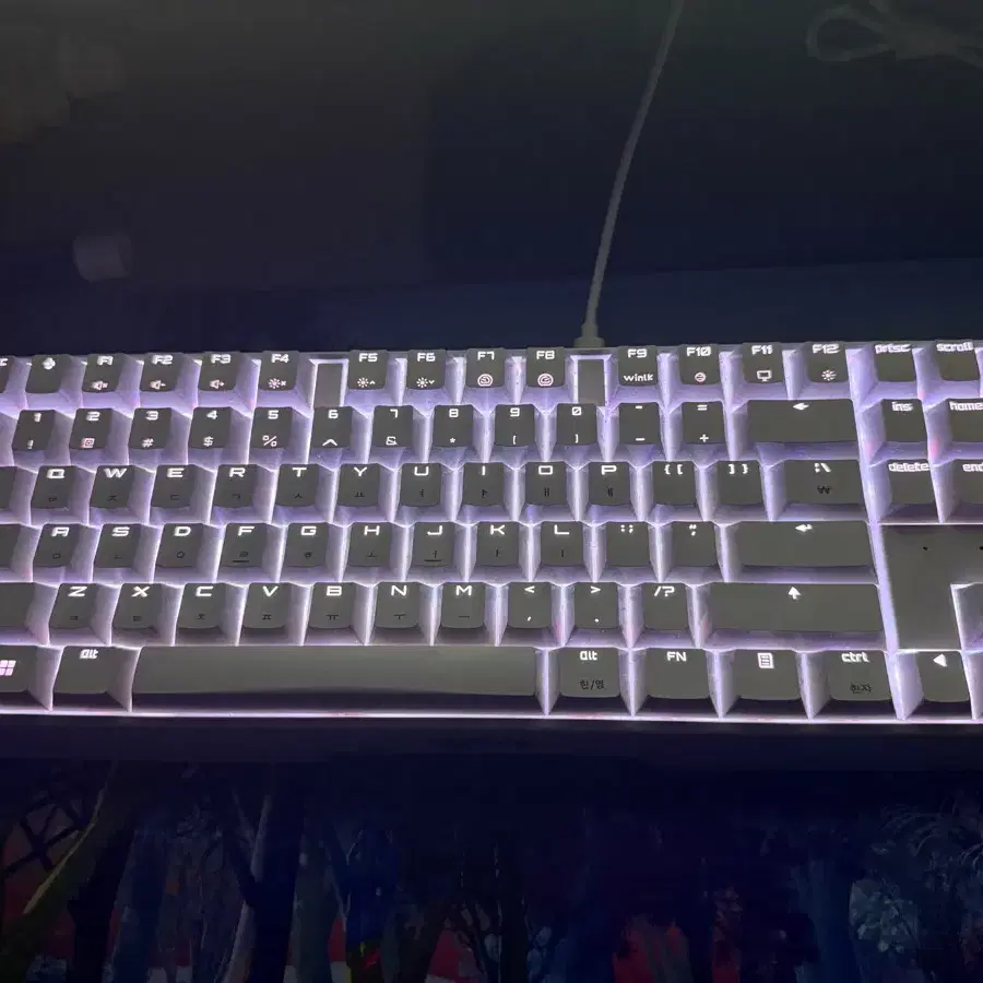 체리 mx board 3.0s tkl 화이트 갈축