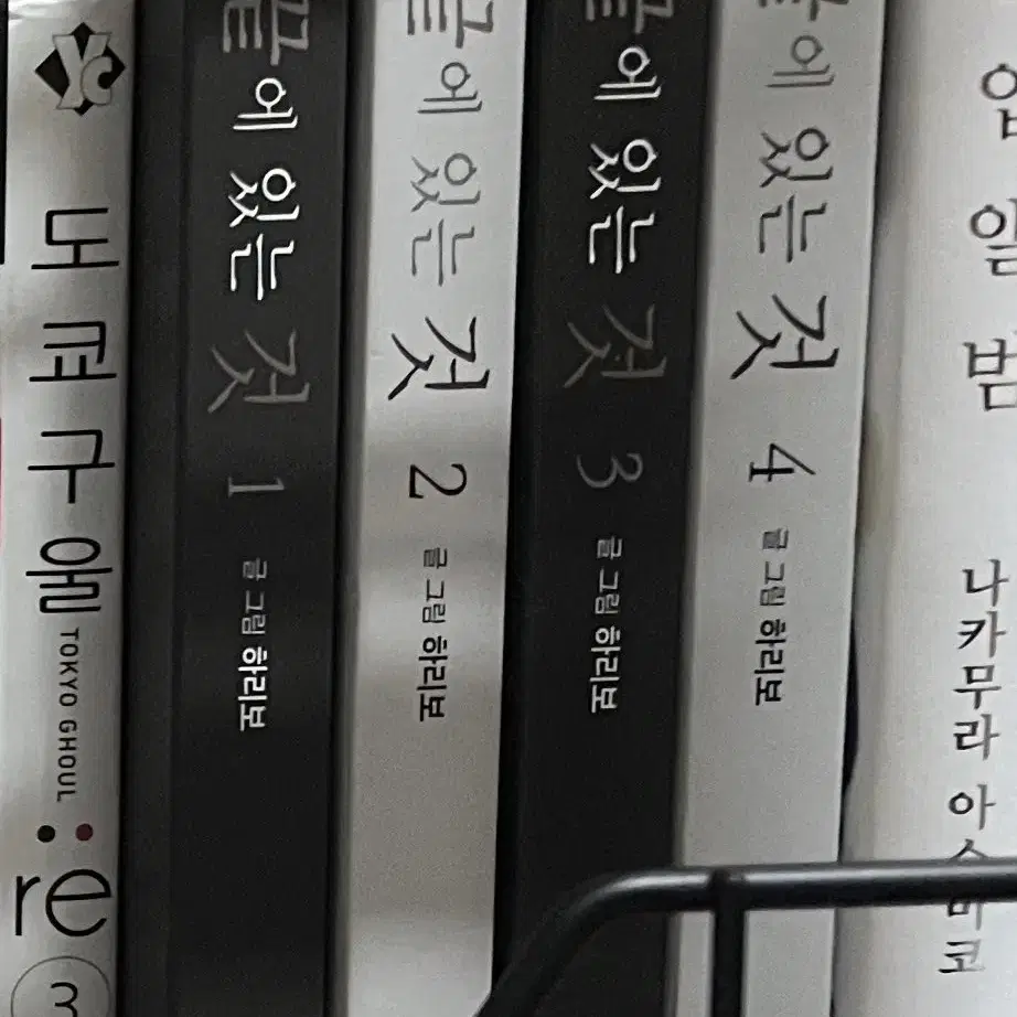 단행본 그 끝에 있는 것, 씹어 삼키다, 과호흡DVD 판매