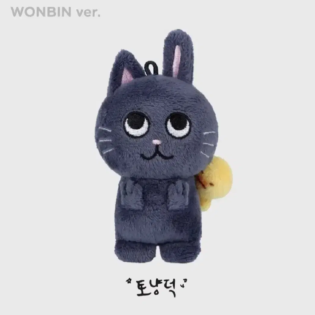 라이즈 10cm 인형 토냥덕 양도