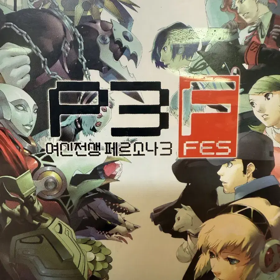 PS2/플스2 여신전생 페르소나3FES, 설명서 장발