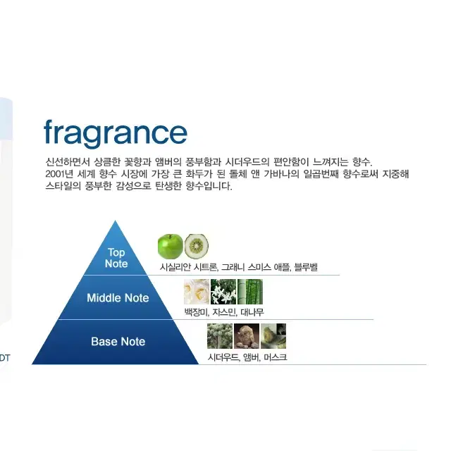 돌체앤가바나 라이트 블루 우먼 오드뚜왈렛 100ml / 여자 향수 정품