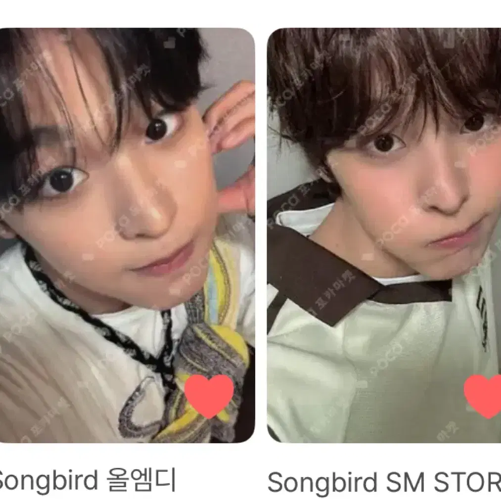 엔시티 리쿠 포카 양도 받아요 송버드 스테디 럭드 슴스 smstore