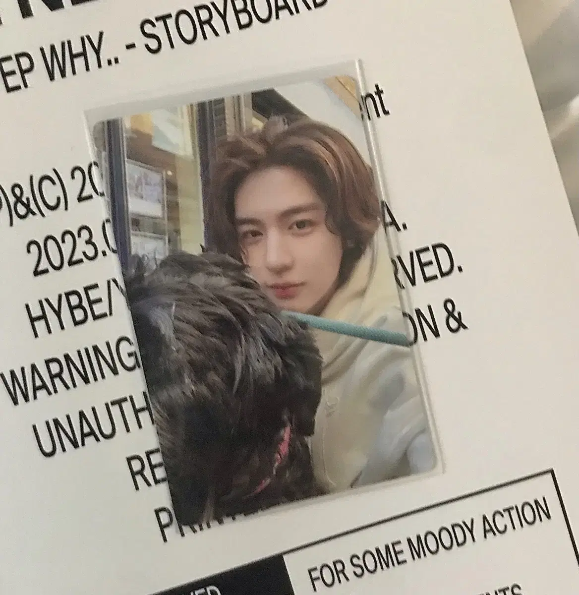 boynextdoor leehan photocard wts how