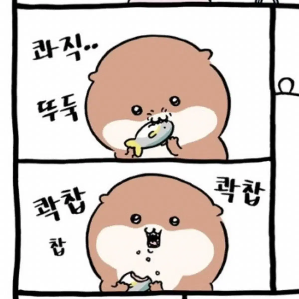 농담곰 수달 마스코트(d상)