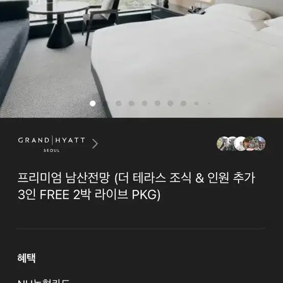 그랜드하얏트서울 2박 양도(조식 및 아이스링크 포함)