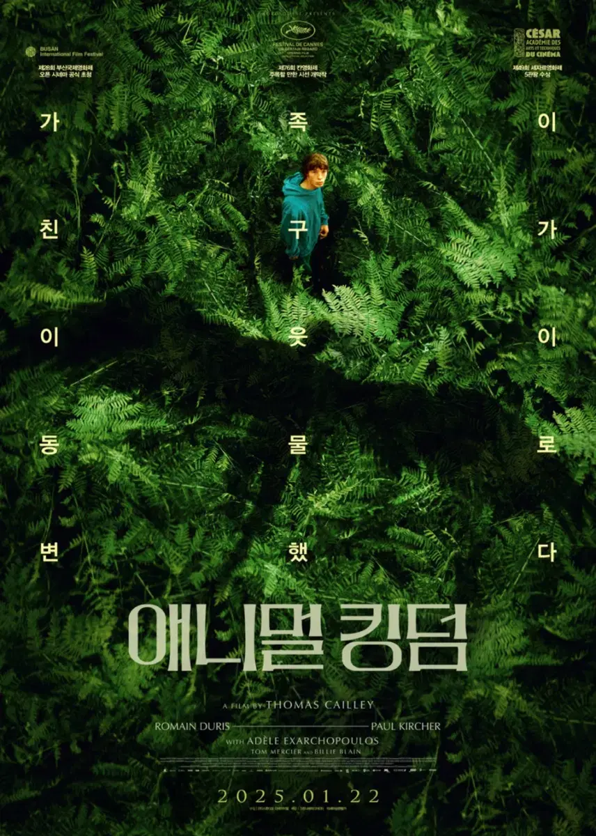 7일(금) 애니멀 킹덤 / 대구아카데미 CGV 2장