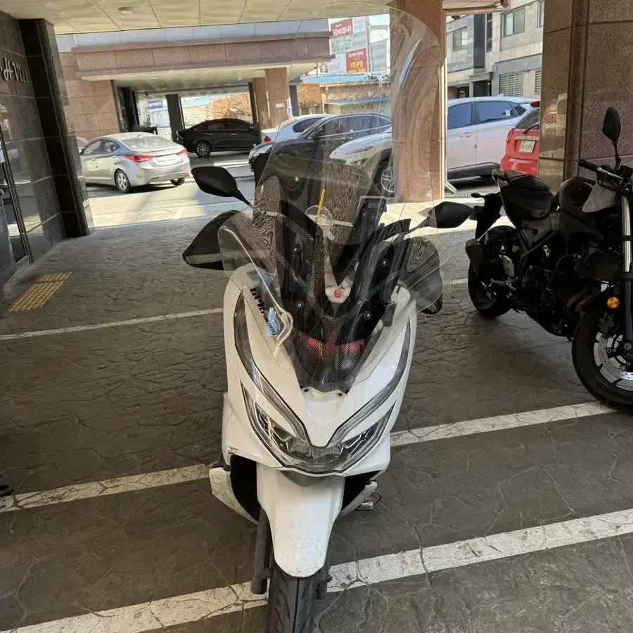 Pcx19년식