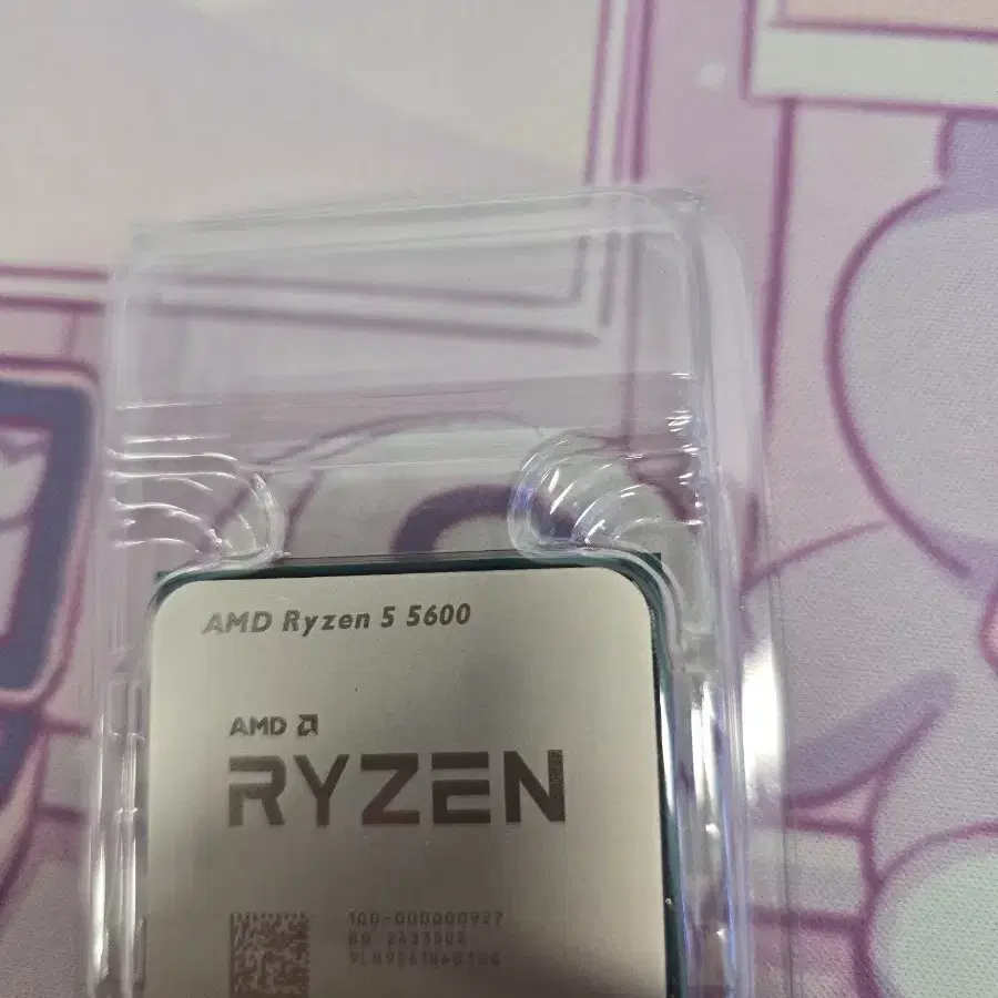 AMD 라이젠 5 5600