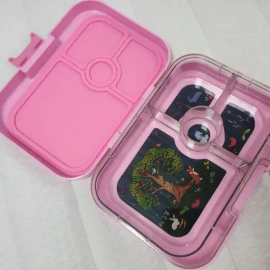 미국 얌박스 yumbox 도시락통