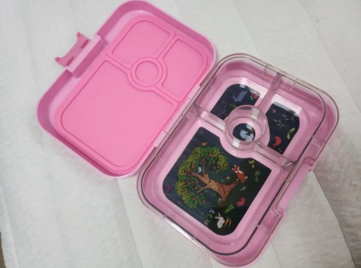 미국 얌박스 yumbox 도시락통