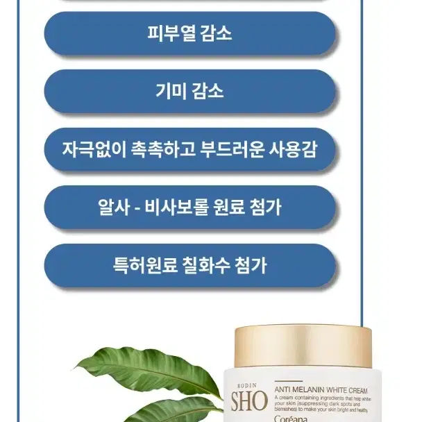 0204 (새상품) 코리아나 로댕쇼 안티멜라닌 화이트닝 기미크림 50ml