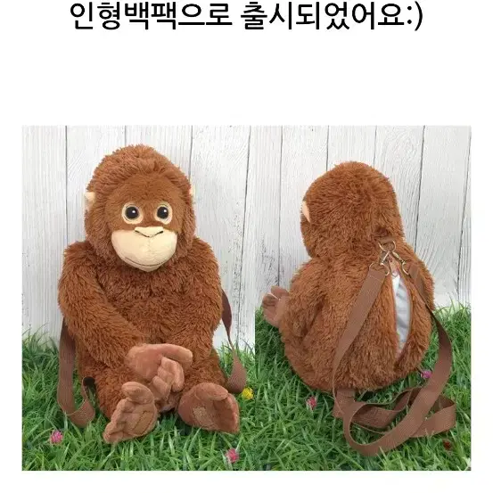 우탄이 & 오랑이 60cm 백팩