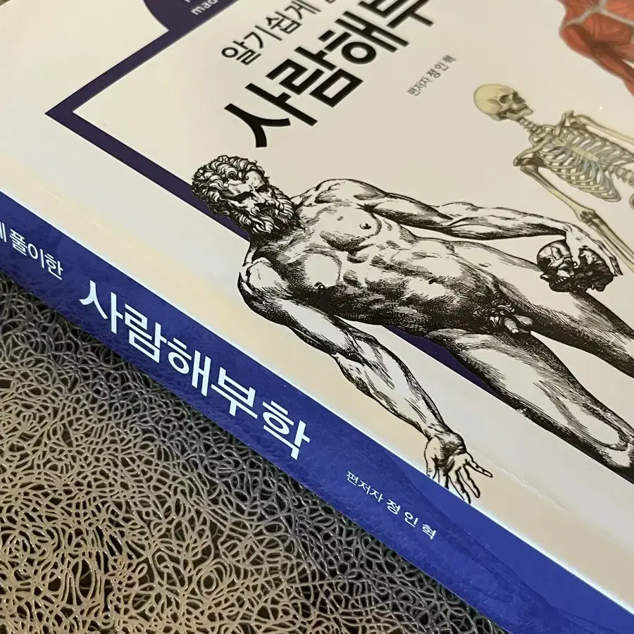 알기쉽게 풀이한 사람해부학 새 책 팔아요