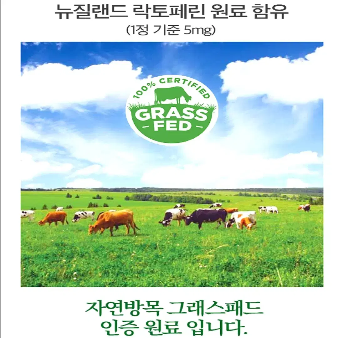 [2개월]HACCP안심국산 모로오렌지 C3G 락토페린 글루타치온 60정