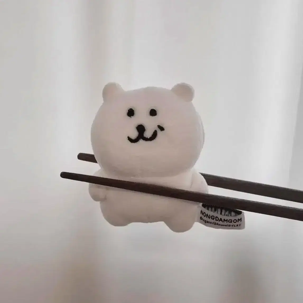 돈앤돌스 농담곰 우쭐곰 기본형 우쭐형