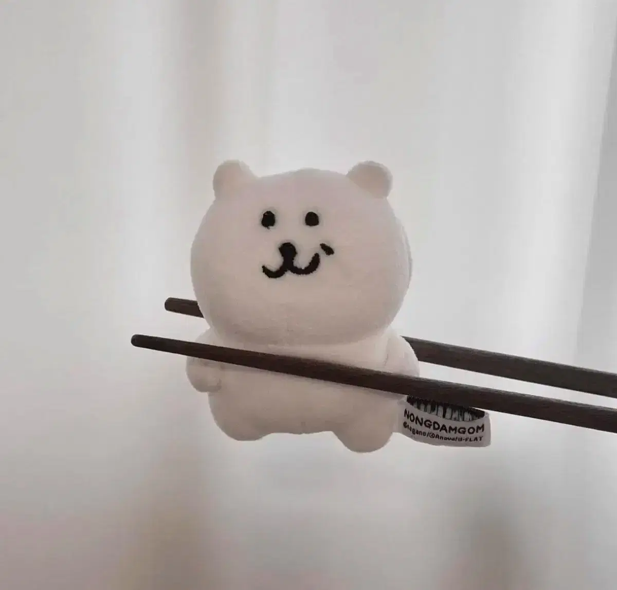 돈앤돌스 농담곰 우쭐곰 기본형 우쭐형