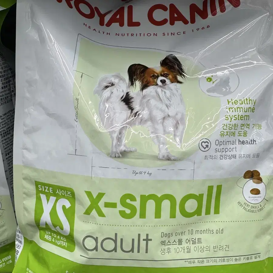 로얄캐닌 XS 어덜트 3KG