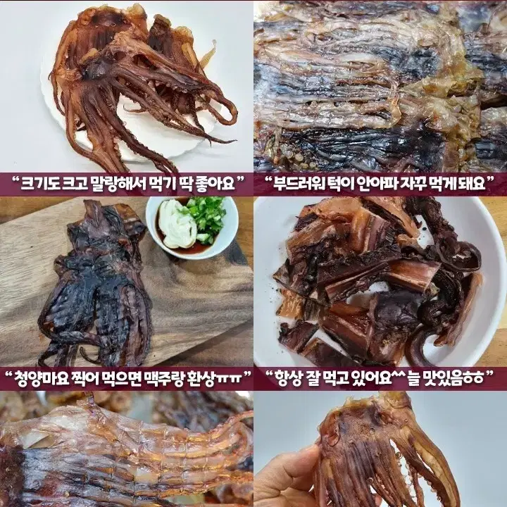 (중대혼합)문어발150g(5~8마리)  8,600원택포11,600원