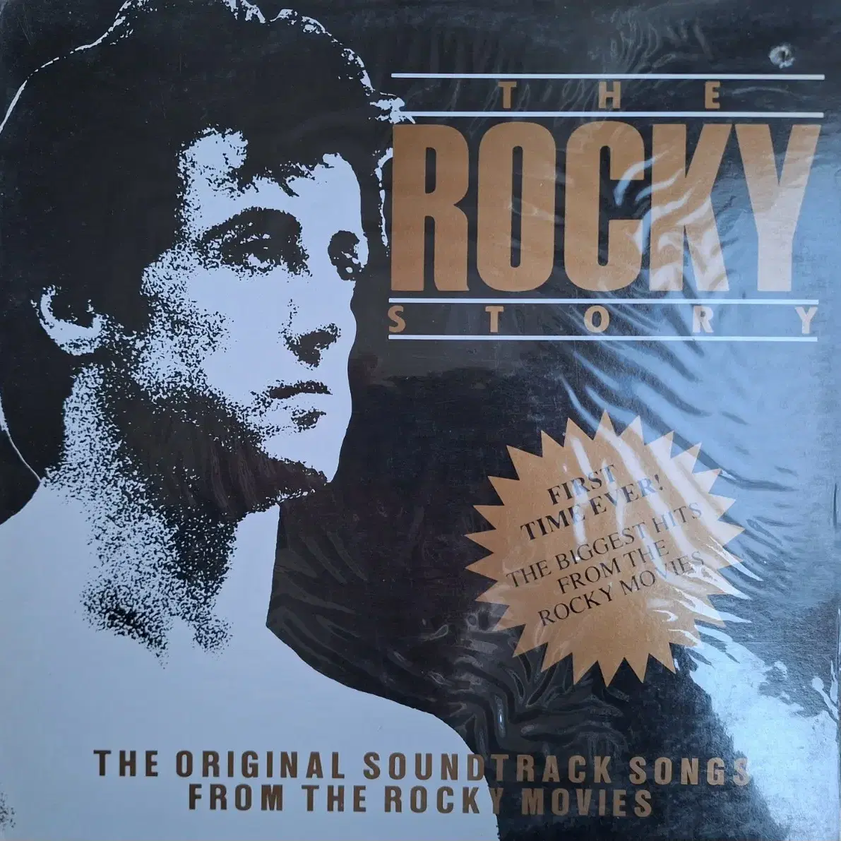 국내라이센스반/The Rocky Story LP