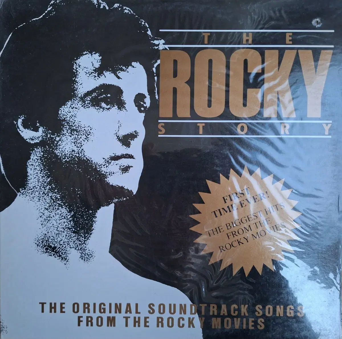 국내라이센스반/The Rocky Story LP