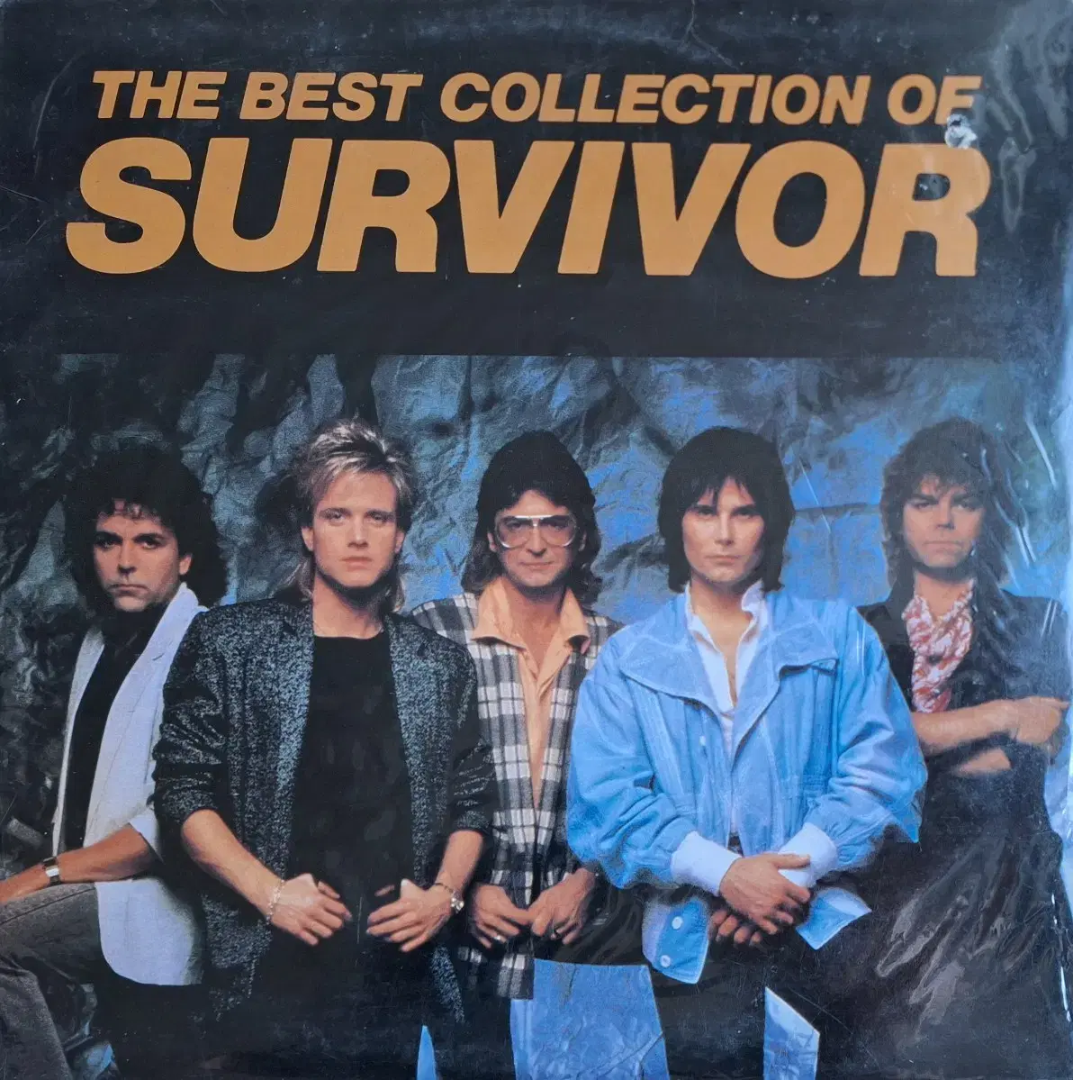 국내라이센스반/Best Collection of Survivor LP