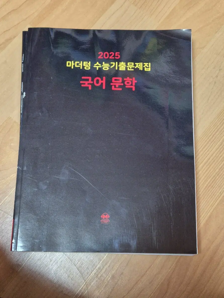 2025 마더텅 국어 문학