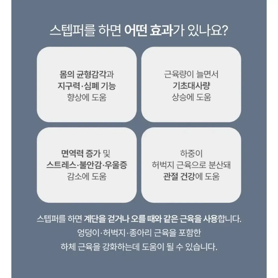 이고진 스탭퍼